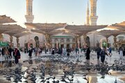 حج خویش را با زیارت رسول خدا (ص) تمام کنید