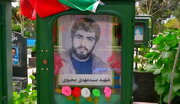 ماجرای شهیدی که عجیب حاجت می‌دهد!